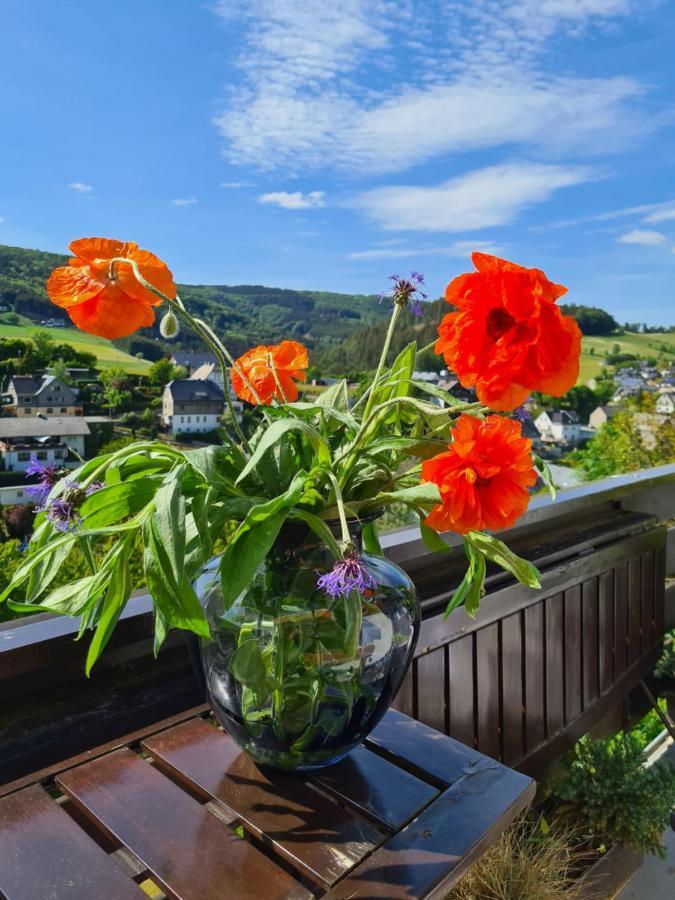 Panoramablick Willingen Schwalefeld Lägenhet Exteriör bild