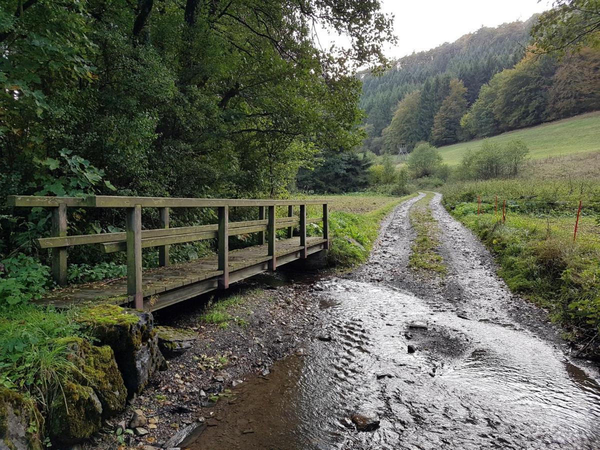 Panoramablick Willingen Schwalefeld Lägenhet Exteriör bild