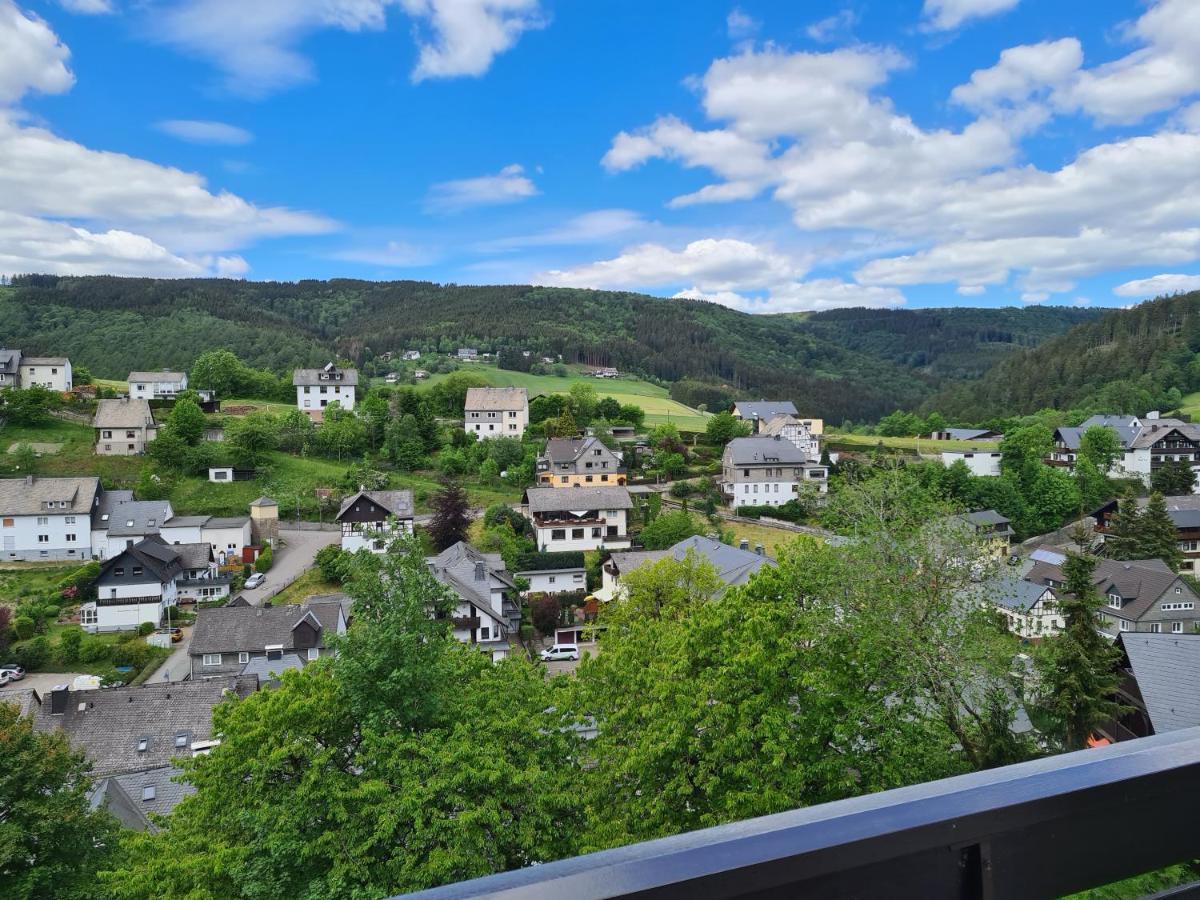 Panoramablick Willingen Schwalefeld Lägenhet Exteriör bild