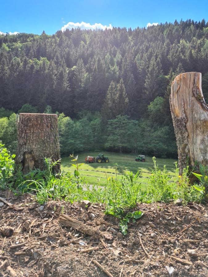 Panoramablick Willingen Schwalefeld Lägenhet Exteriör bild